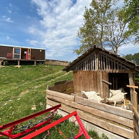 Maringotka Na Samote Na Kozi Farme Hotel Pobezovice Bagian luar foto