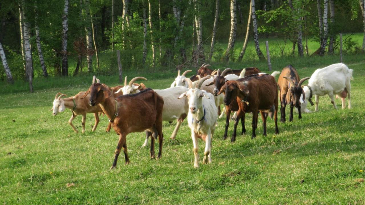 Maringotka Na Samote Na Kozi Farme Hotel Pobezovice Bagian luar foto